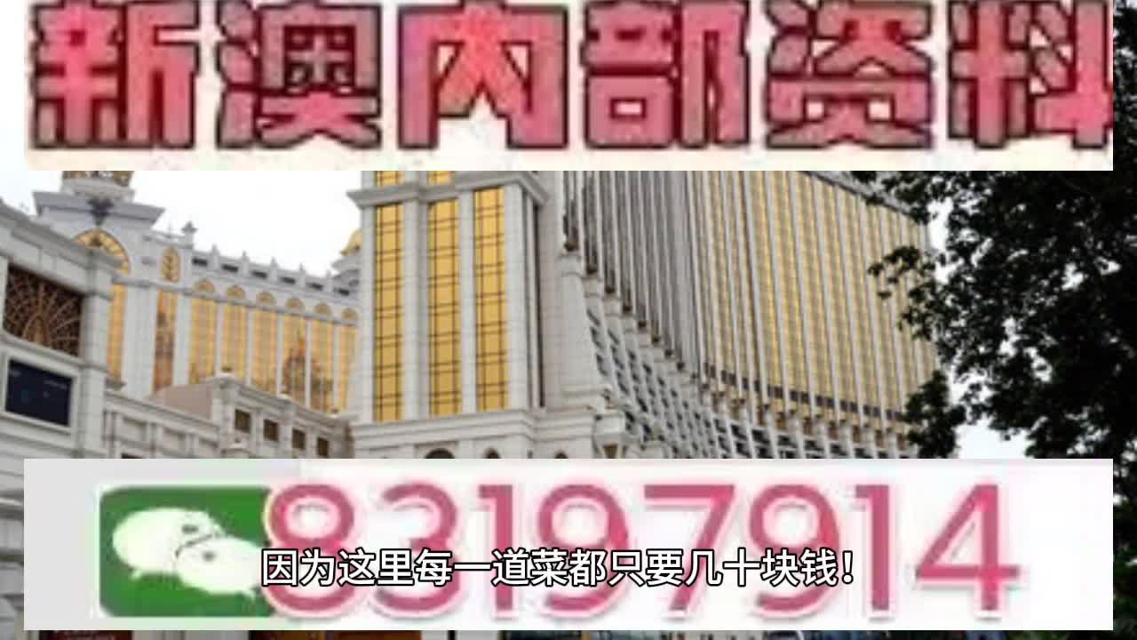 澳門六肖中特馬，探索與解讀，澳門六肖中特馬的探索與解讀指南