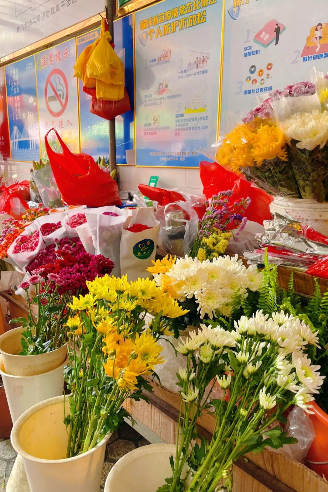 新門內(nèi)部資料最快更新，深度探索與前沿洞察，新門內(nèi)部資料更新速遞，深度探索與前沿洞察揭秘