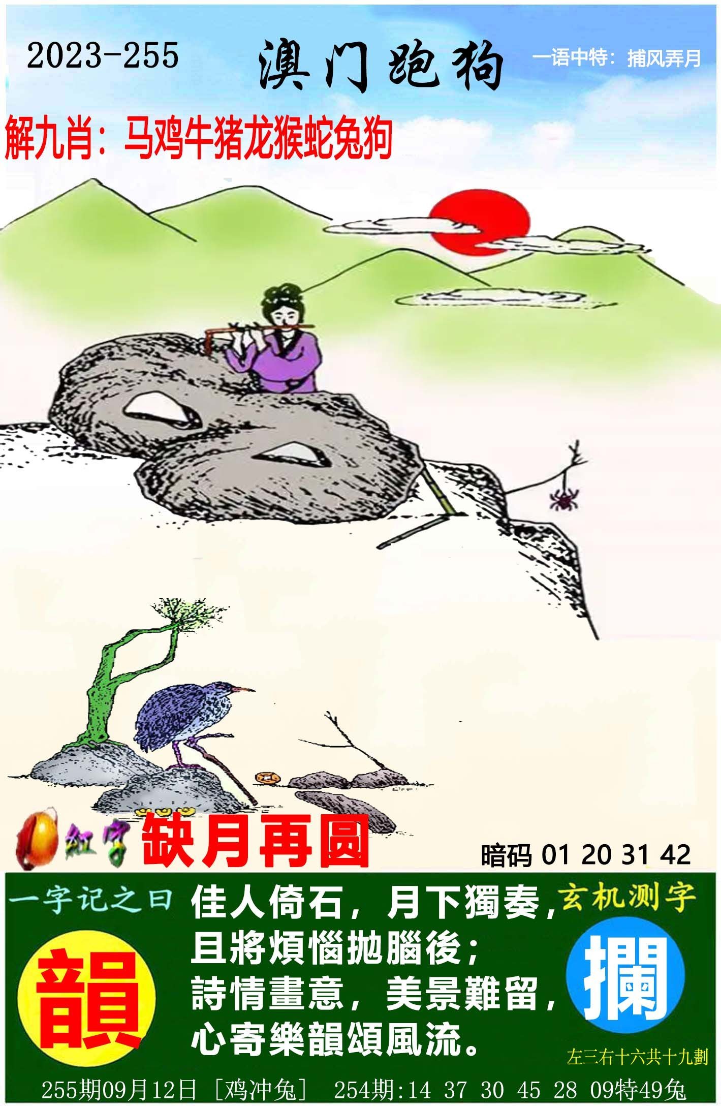 澳門彩票，探索2025年天天開好彩的奧秘與期待——第46期深度解析，澳門彩票深度解析，探索未來天天開好彩的奧秘與期待（第46期）