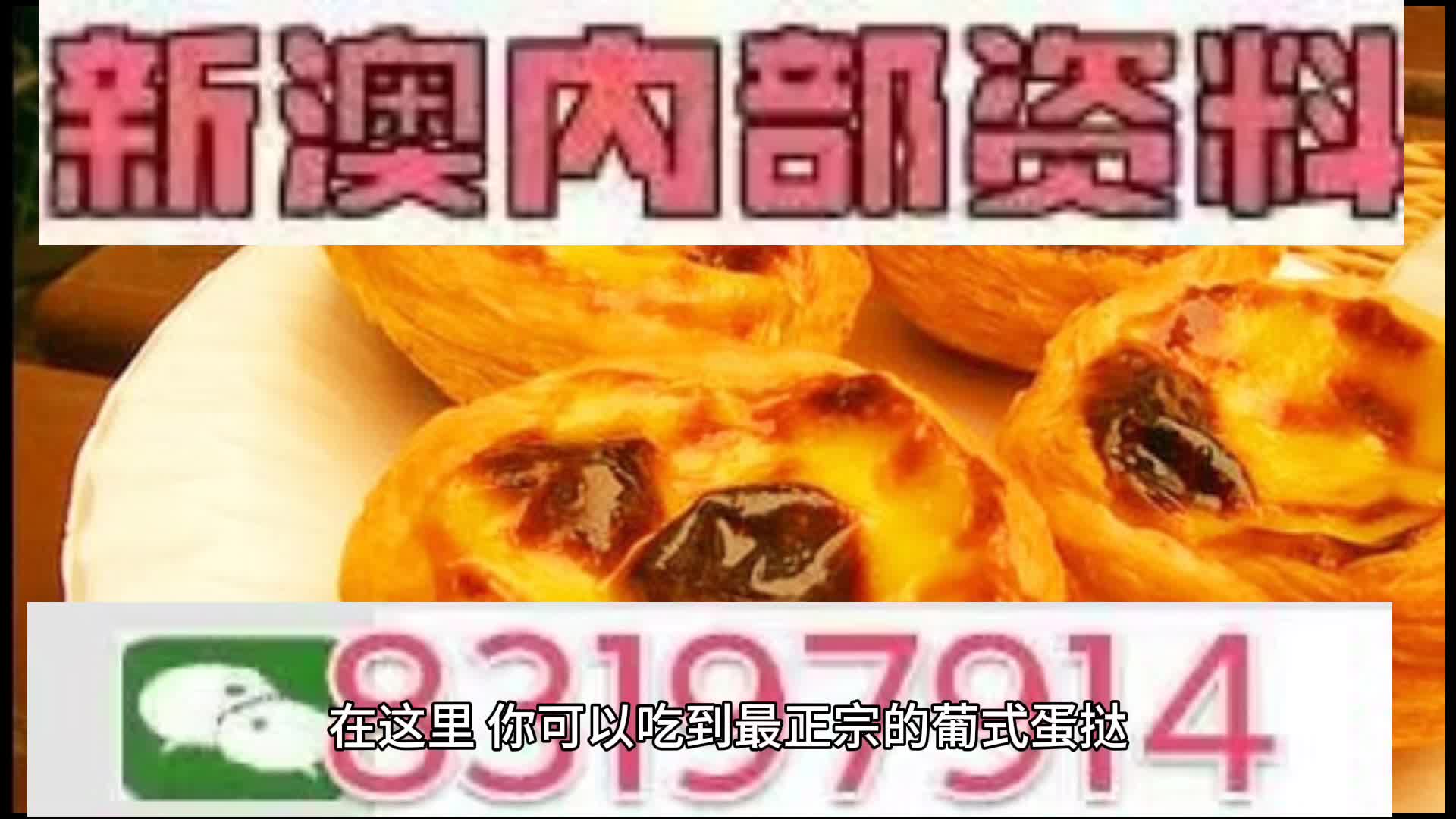 探索未來，2025新澳門中特網(wǎng)的發(fā)展與展望，2025新澳門中特網(wǎng)的發(fā)展展望，探索未來之路