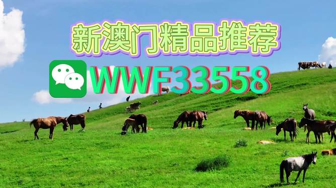 揭秘精準(zhǔn)四生肖，探尋數(shù)字組合77777與88888背后的奧秘，揭秘精準(zhǔn)四生肖與神秘?cái)?shù)字組合77777與88888的奧秘探索