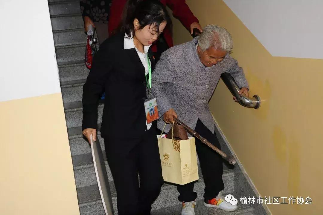 天天免費(fèi)資料彩票大全，探索彩票世界的奧秘與機(jī)遇，天天免費(fèi)資料彩票大全，揭秘彩票世界的奧秘與機(jī)遇