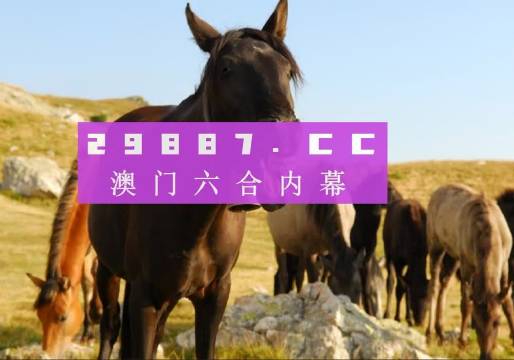 新澳門管家婆一特一中，探索現(xiàn)代博彩管理的典范，現(xiàn)代博彩管理典范，澳門管家婆一特一中探索之路