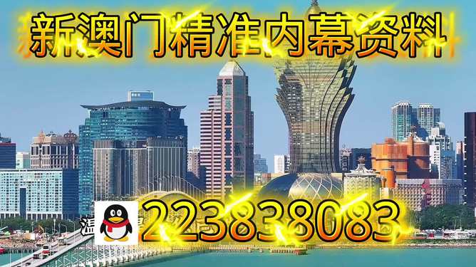 探索新澳門正版內(nèi)部，一個(gè)多元化的未來展望（至2025年），澳門未來展望，探索多元化發(fā)展之路至2025年