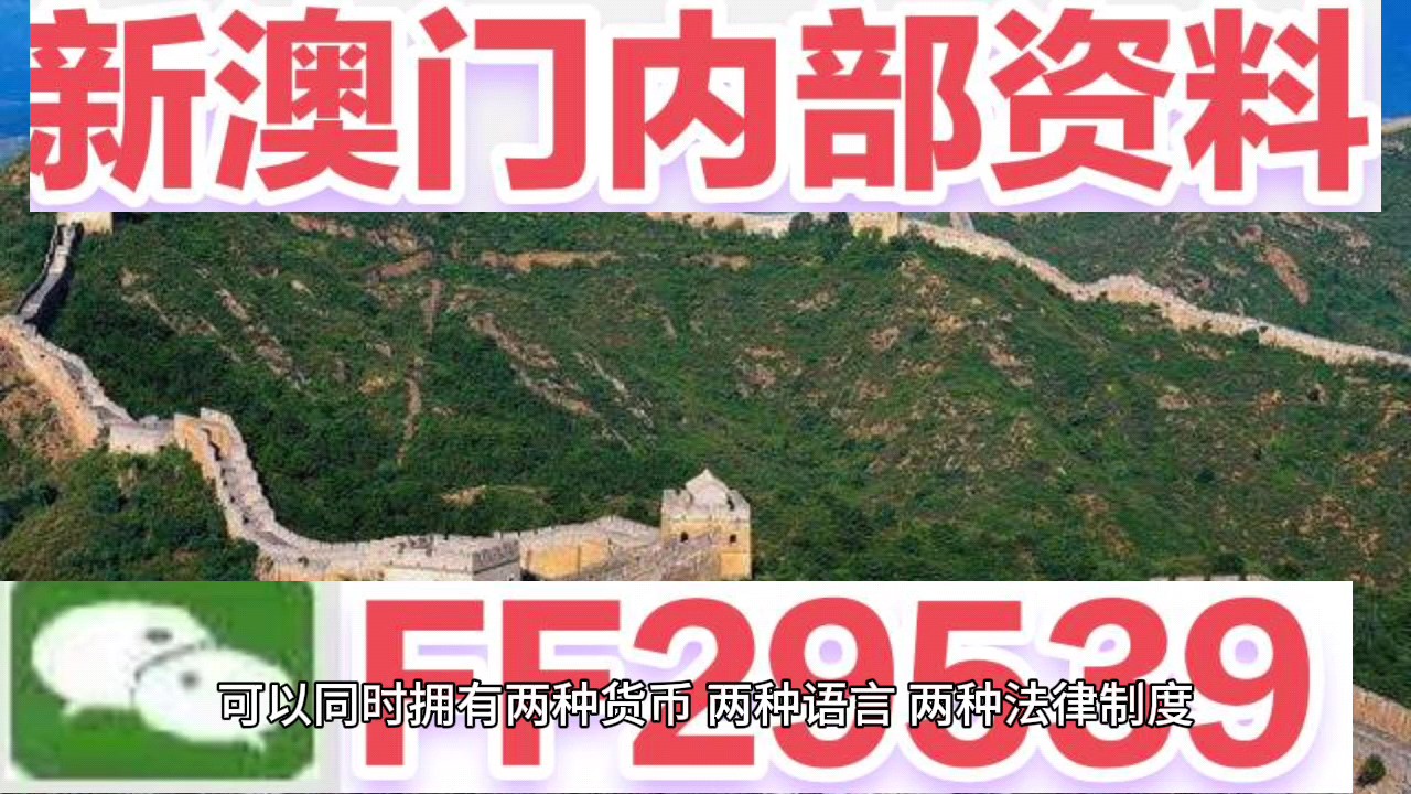 新澳門今晚開獎結(jié)果號碼查詢表，探索彩票世界的神秘與期待，新澳門今晚開獎結(jié)果查詢表，揭開彩票世界的神秘面紗與期待