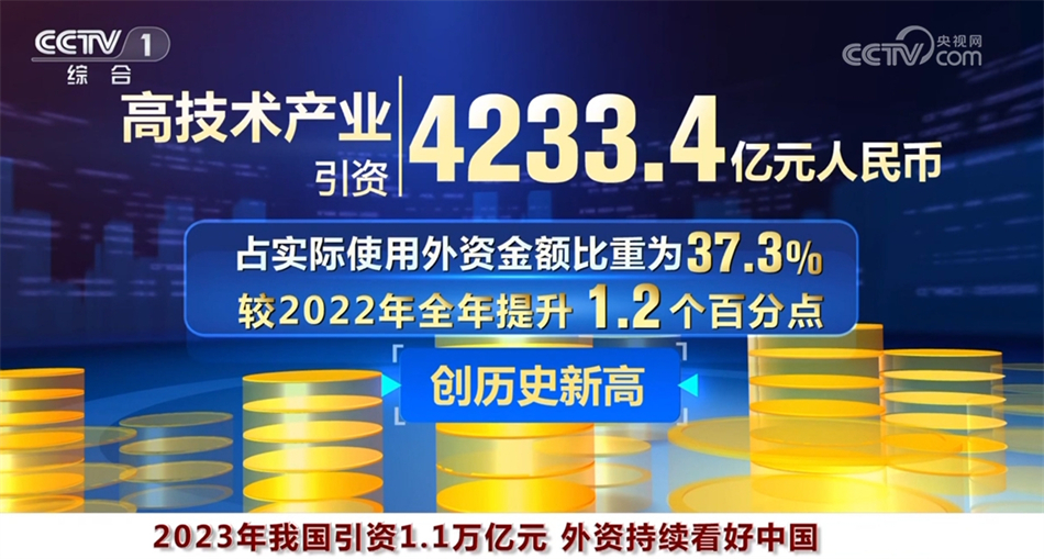 探索數(shù)字世界中的王中王，特點與亮點解析，數(shù)字世界中的王中王，特點與亮點深度解析