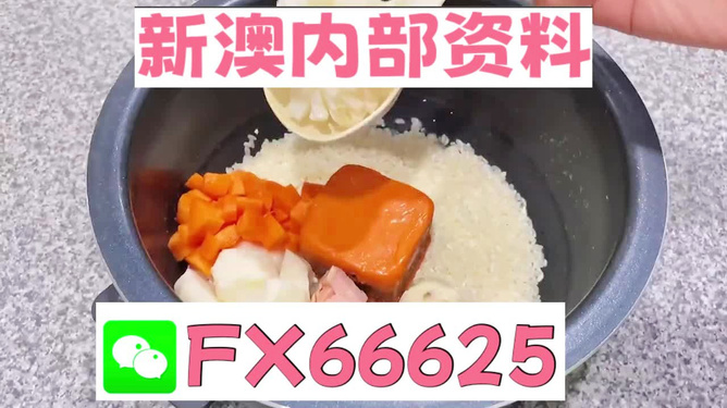 新奧精準(zhǔn)免費資料提供，探索與啟示，新奧精準(zhǔn)免費資料探索，啟示與分享