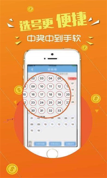 王中王論壇，心水交匯的智慧之地，王中王論壇，智慧交匯的心靈之地