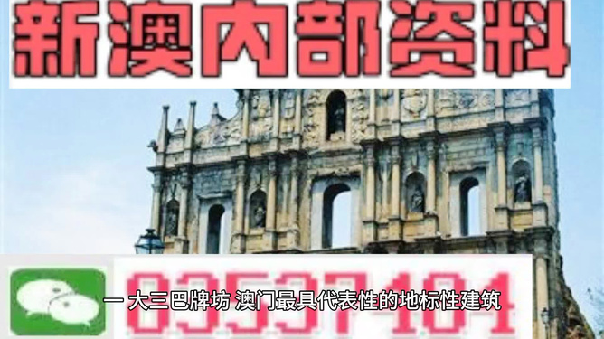 新門內(nèi)部資料大全免費(fèi)，探索與啟示，新門內(nèi)部資料免費(fèi)探索與啟示指南