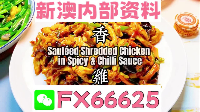 2025新奧精準(zhǔn)資料免費大全，探索未來，助力成長，2025新奧精準(zhǔn)資料免費大全，探索未來助力成長之路