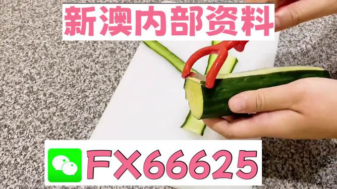 澳門管家婆100中獎，揭秘彩票背后的故事與啟示，澳門管家婆彩票背后的故事與啟示，揭秘中獎真相