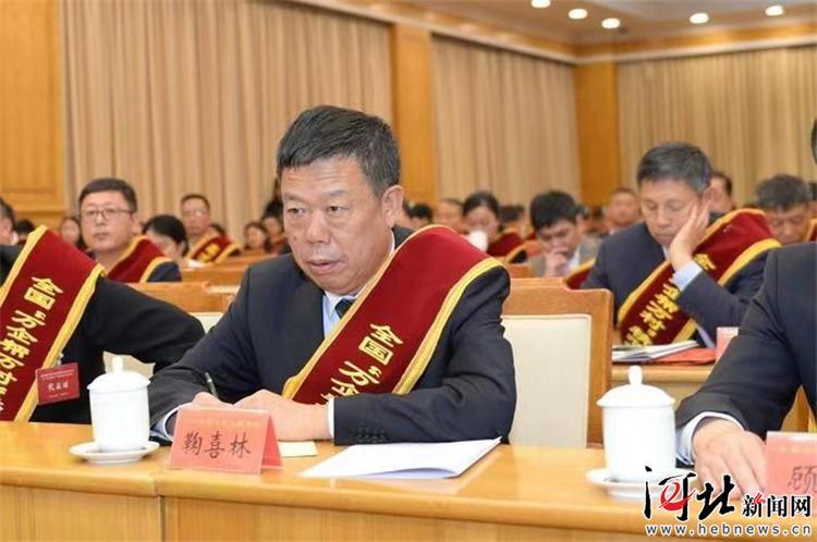 新奧精準選免費提供，探索未來智能決策的新路徑，新奧精準選免費開放，智能決策的新路徑探索