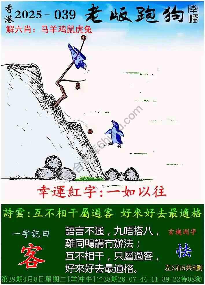 全新體驗