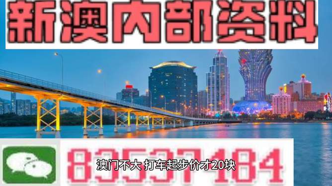 新澳期期期，探索未來的機(jī)遇與挑戰(zhàn)，新澳期期期，未來機(jī)遇與挑戰(zhàn)的探索